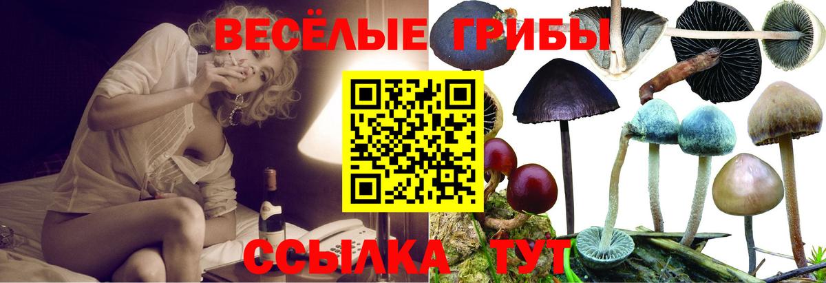Долгопрудный  Галлюциногенные грибы Magic Shrooms  Псилоцибиновые грибы мицелий  Вход с VPN 
